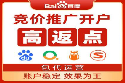 百度竞价广告的创意与执行：成功案例剖析